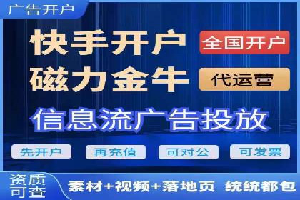百度竞价策略解析：案例分析及优化建议